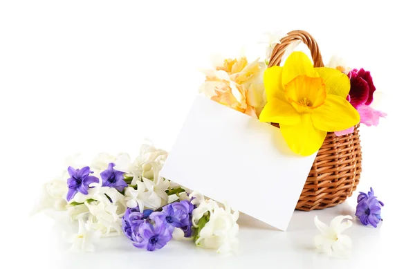 Lindas flores em cesta com cartão isolado em branco — Fotografia de Stock