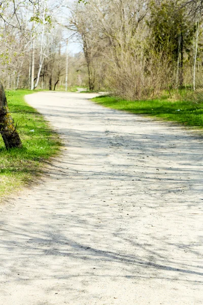 Camino en el parque de primavera — Foto de Stock