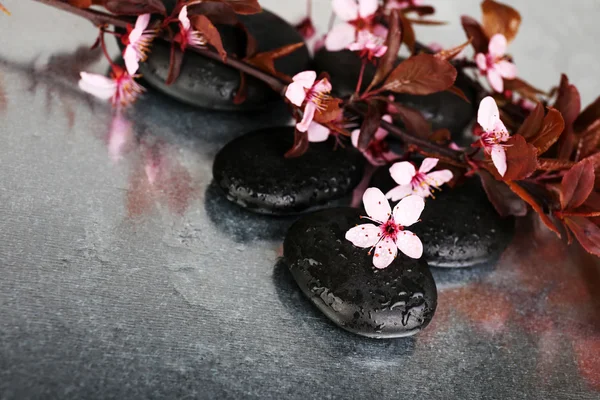 Piedras de spa con flores de primavera en la mesa de cerca —  Fotos de Stock