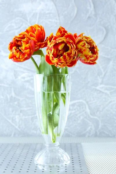 Beautiful bright tulips in glass vase on grey background — Stock Photo, Image