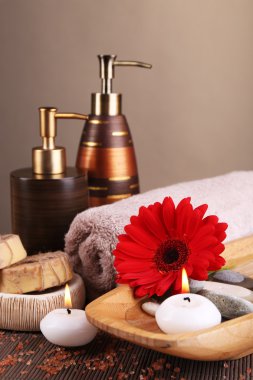 Spa tedavisinin bileşimi