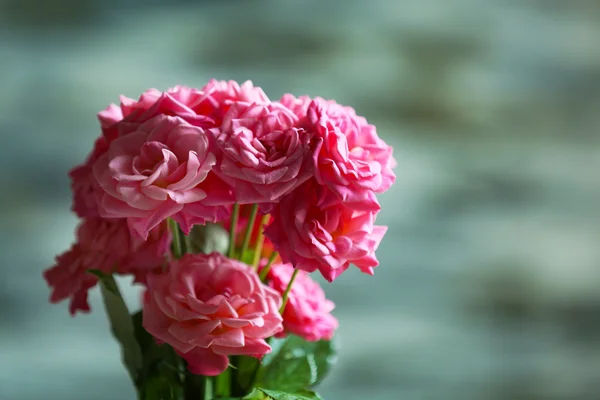 Beautiful fresh roses — Stock Photo, Image