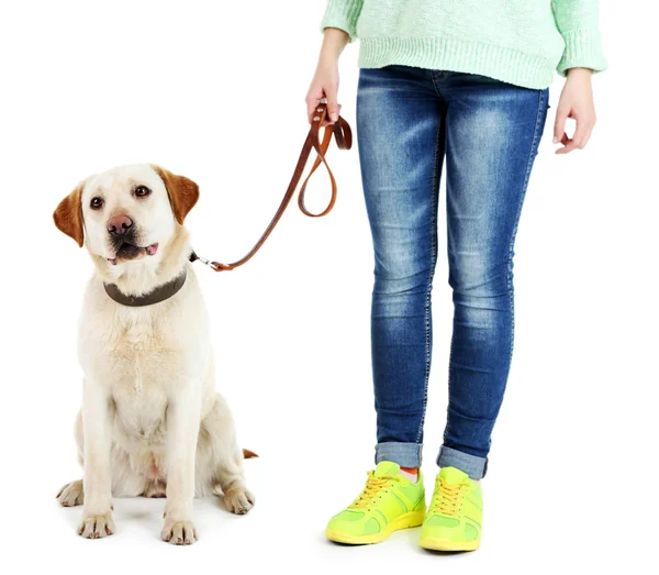 Cão bonito com menina — Fotografia de Stock