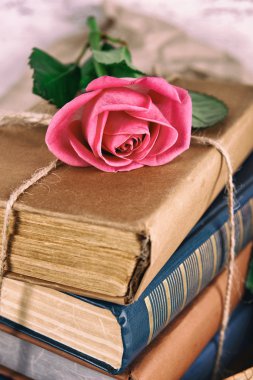 Kitap yığını ile güzel pembe Gül