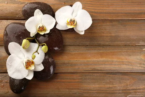 Piedras de spa y flor de orquídea —  Fotos de Stock