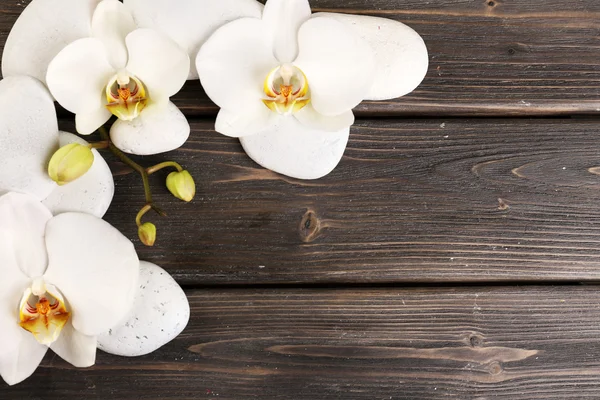 Piedras de spa y flor de orquídea —  Fotos de Stock