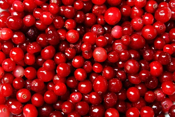 Preiselbeeren aus nächster Nähe — Stockfoto