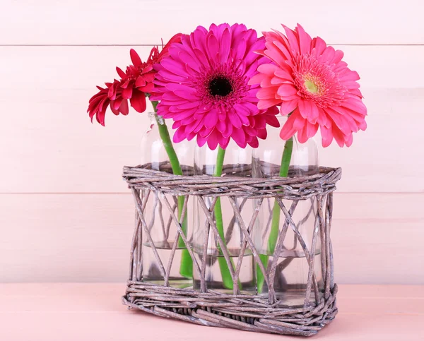 Hermosas gerberas brillantes —  Fotos de Stock