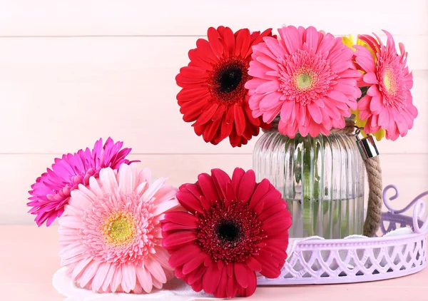 Belles gerberas lumineuses — Photo