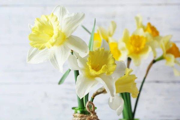 Narcis čerstvé květiny — Stock fotografie