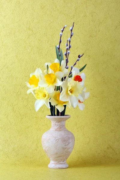 Fresh narcissus flowers — Stock Photo, Image