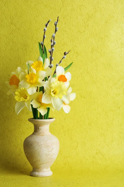 Flores narcisas frescas — Foto de Stock