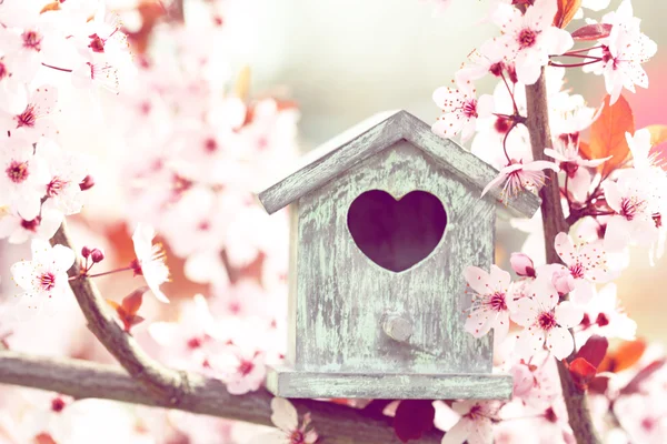 Decorative nesting box on bright background — Stock Photo, Image