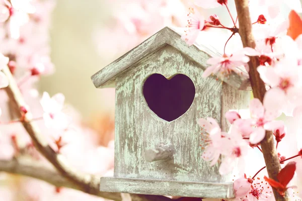 Decorative nesting box on bright background — Stock Photo, Image