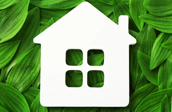 Maison en bois sur feuilles vertes — Photo