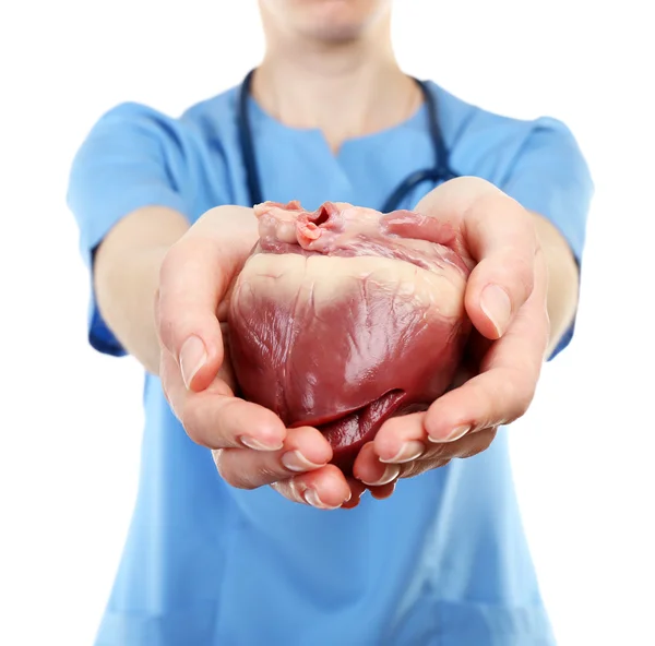 Herz in den Händen des Arztes — Stockfoto