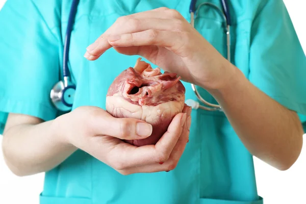 Corazón en manos del médico — Foto de Stock