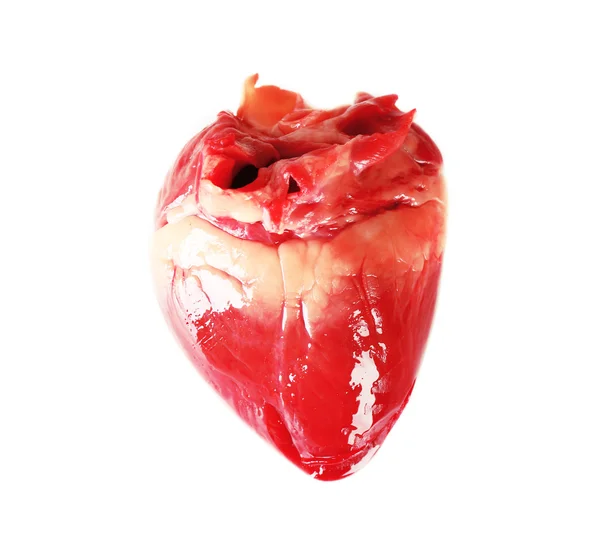 Beyaz izole kalp — Stok fotoğraf