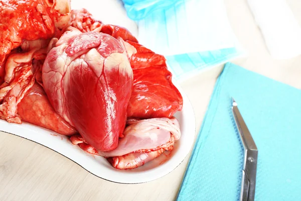 Heart organ in medical metal tray — Stock Photo, Image