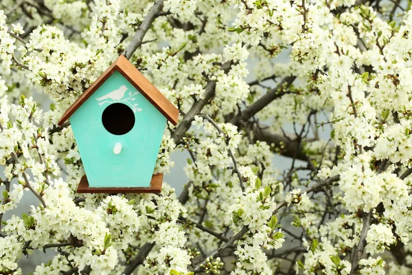 Decorative nesting box — Stock Photo, Image