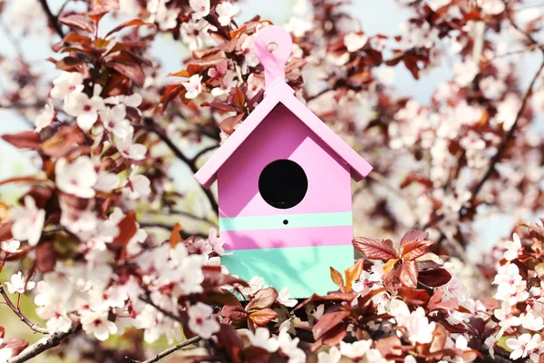 Decorative nesting box — Stock Photo, Image