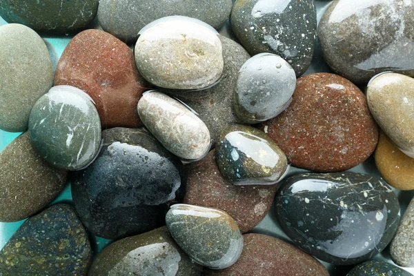 Natte zeekeien — Stockfoto