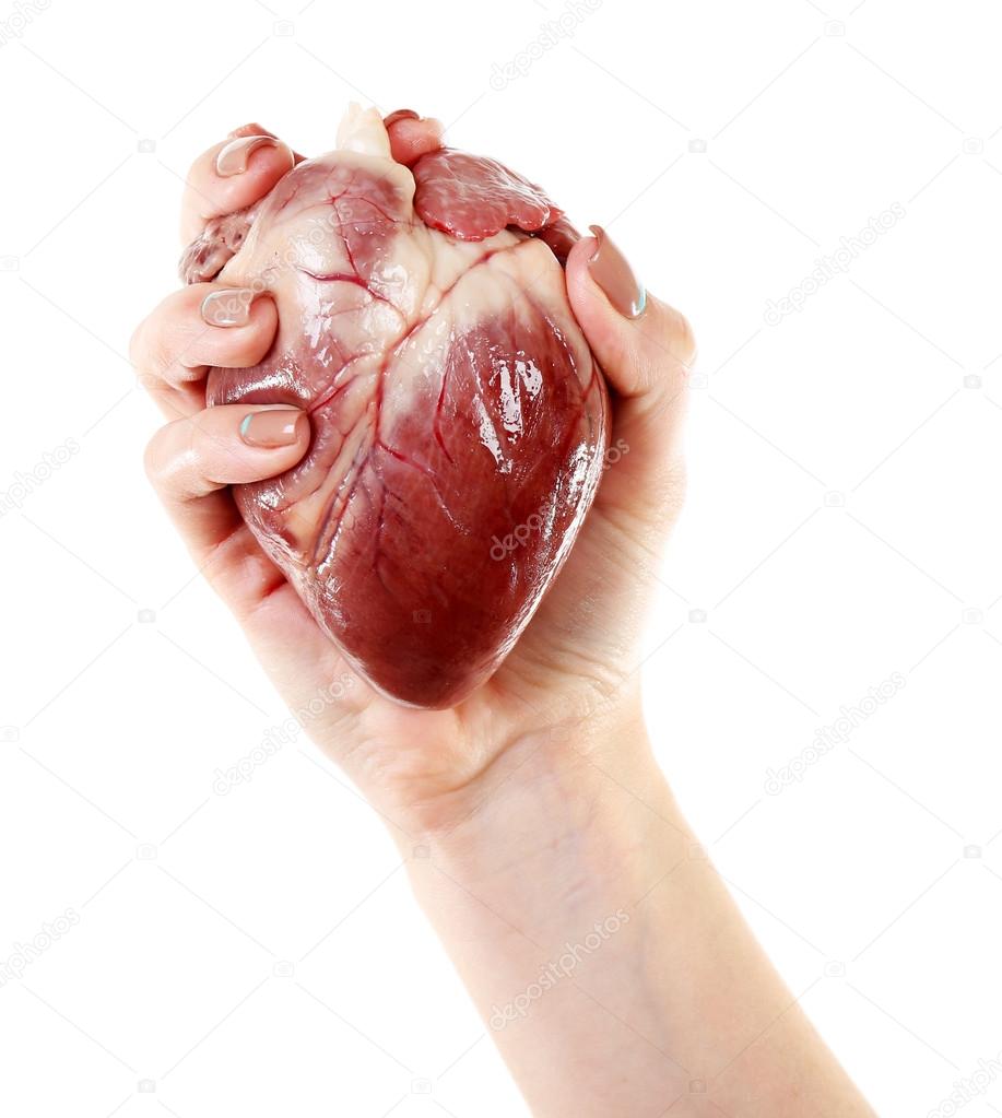 Heart in female hands Stock Photo by ©belchonock 72156827