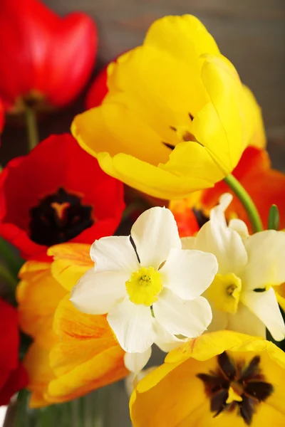 Bouquet of tulips and narcissus — Stock Photo, Image