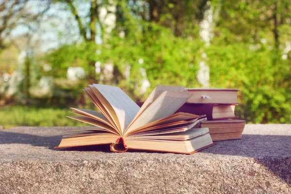 Montón de libros al aire libre — Foto de Stock