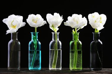 Siyah arka plan üzerine cam vazo içinde taze laleler