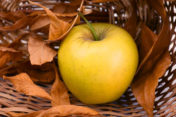 Яблоко с сушеными листьями в плетеной корзине, крупным планом — стоковое фото