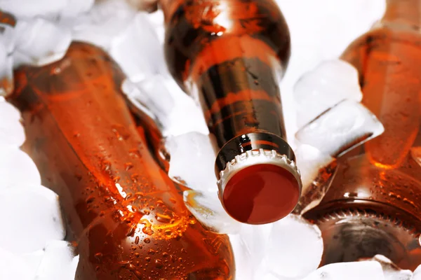 Garrafas de vidro de cerveja com cubos de gelo, close-up — Fotografia de Stock