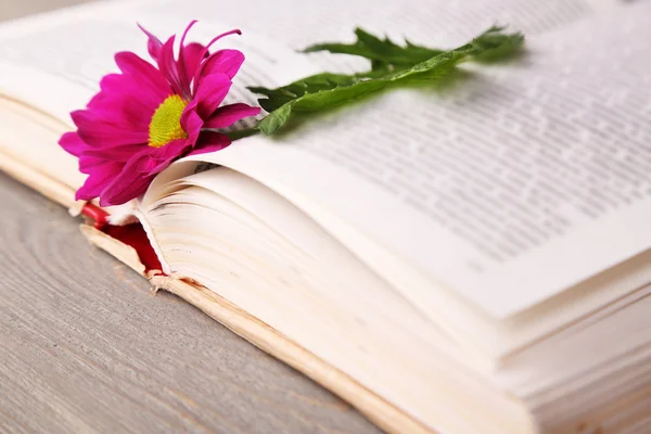 Solteira flor com livro aberto sobre mesa de madeira, close-up — Fotografia de Stock