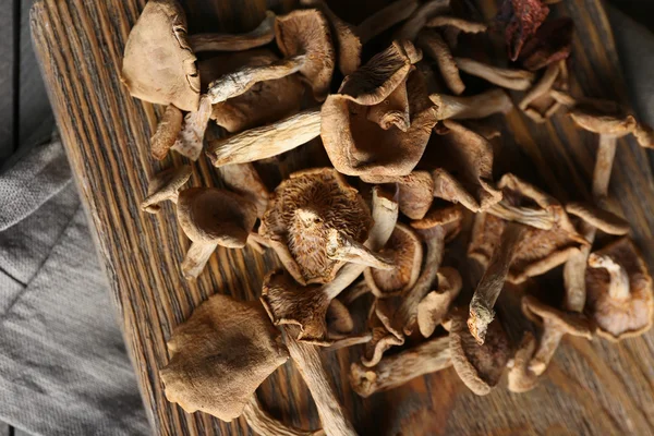 Cogumelos secos na tábua de corte, close-up — Fotografia de Stock
