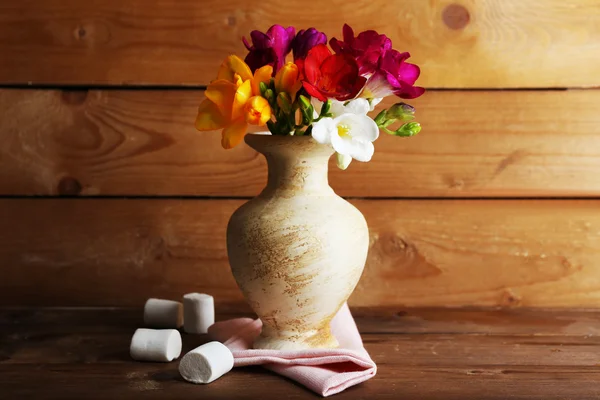 Beautiful spring flowers — Stock Photo, Image