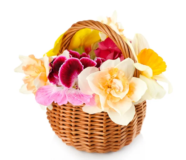 Beautiful flowers in basket isolated on white — Stock Photo, Image
