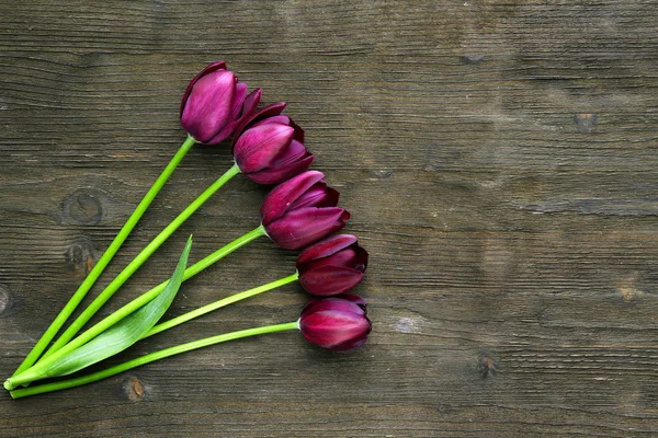 Prachtige Violette tulpen op houten achtergrond — Stockfoto