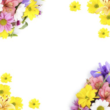Güzel çiçekler üzerinde beyaz izole çerçevesinde