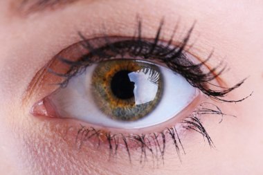 İnsan gözü. Yaklaş.