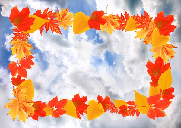 Frame of autumn leaves on sky background — Stock Photo, Image