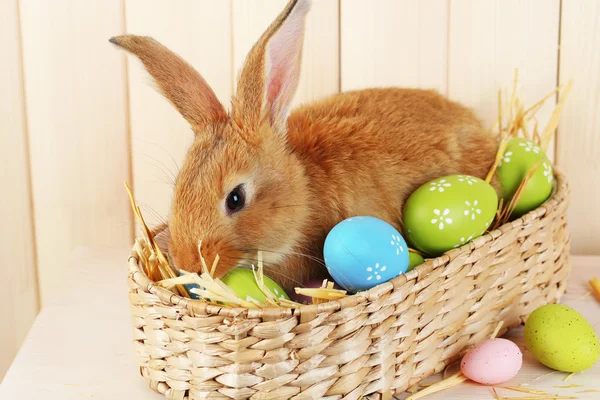 Lindo conejo rojo con huevos de Pascua en estante sobre fondo de pared de madera — Foto de Stock