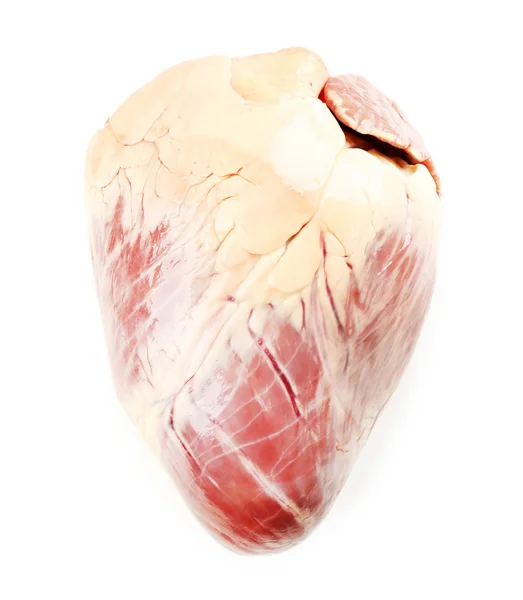 Corazón de animal crudo aislado en blanco —  Fotos de Stock