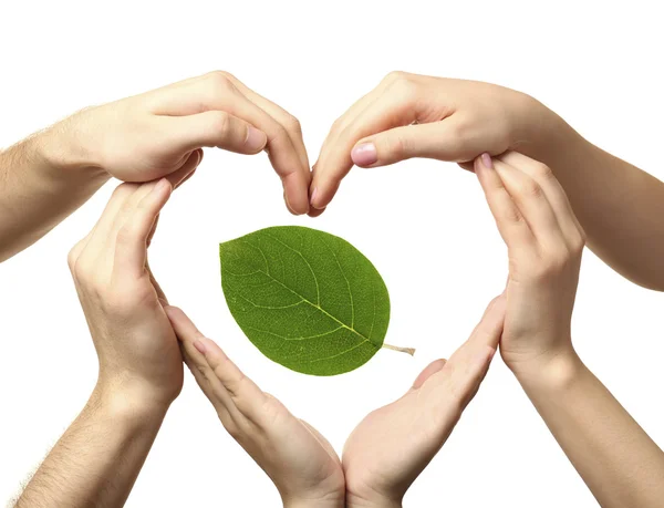 Hands with green leaf isolated on white — Stock Photo, Image