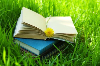apilados libros en pasto, fuera