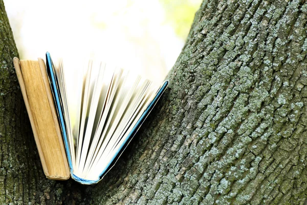 Bücher am Baum, Nahaufnahme — Stockfoto