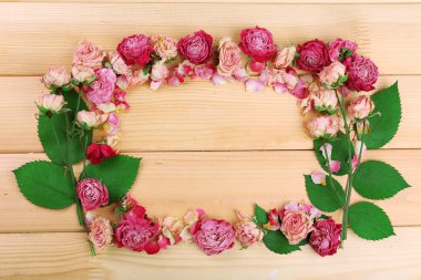 Çerçeve güzel kuru çiçek