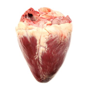 Raw animal heart clipart
