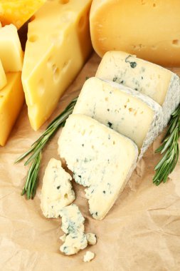çeşitli peynir türleri