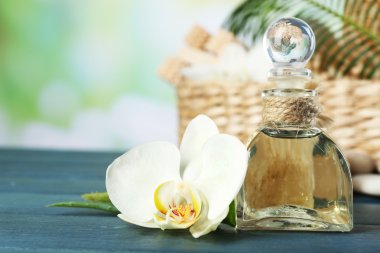 Çiçeklenme ile natürmort orkide çiçek