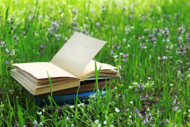 apilados libros en pasto, fuera